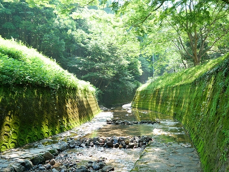 竜門.jpg