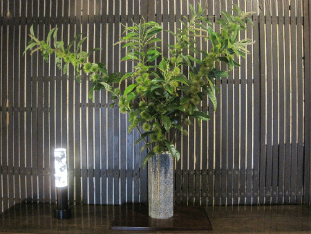 本家玄関の生け花（2019.8.31）｜窯元の有田だより｜今右衛門