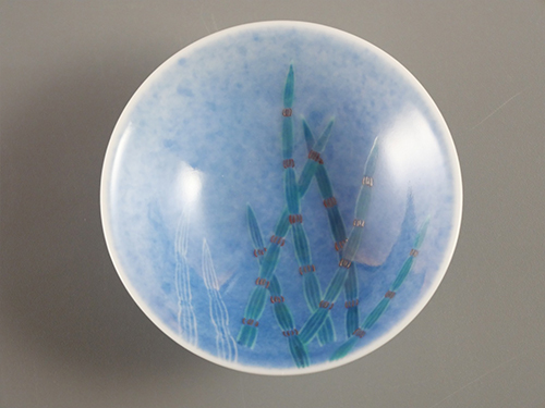 色絵吹墨墨はじき砥草文盃