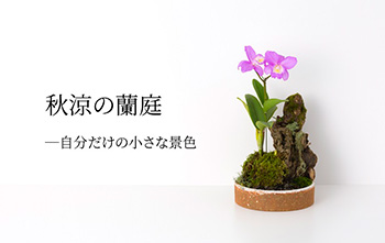 箱庭作り教室のご案内